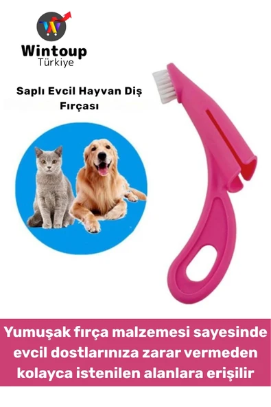 Ergonomik Kolay Tutuş Zararsız Yumuşak Fırça Yavru Kedi Köpek Evcil Hayvan Diş Fırçası ürün görseli 1