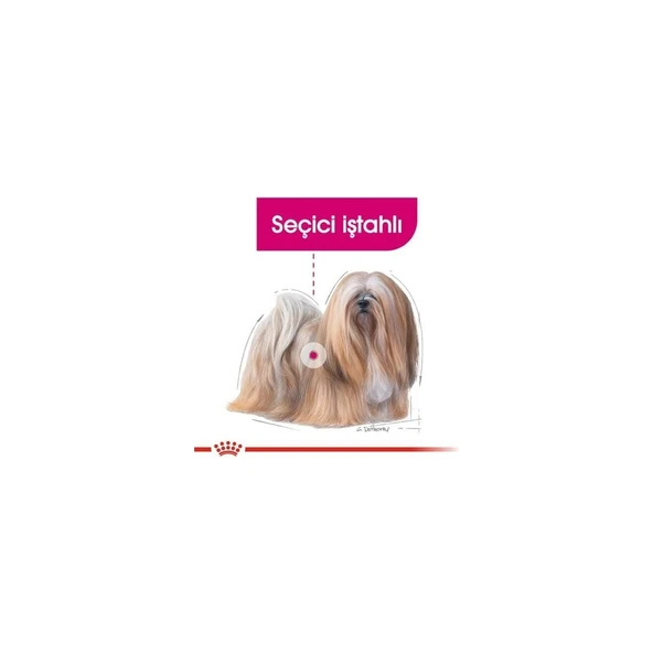 Mini Exigent Yetişkin Köpek Maması 3 kg - Resim 3