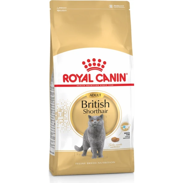British Shorthair Yetişkin Kedi Maması 10 kg ürün görseli 1