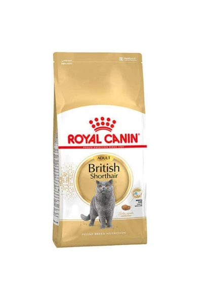 Royal Canin British Shorthair Yetişkin Kedi Maması 10 kg ürün görseli 1