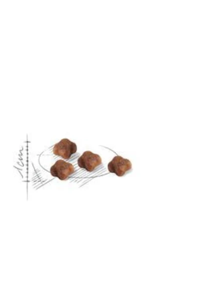 Royal Canin Mother Babycat Yavru Kuru Kedi Maması 4 kg ürün görseli 1