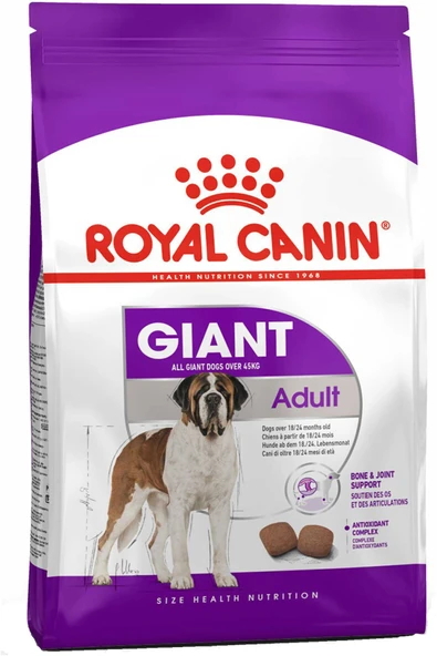 Royal Canin Giant Adult Dev Irk Köpek Maması 15 kg ürün görseli 1