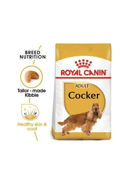 Royal Canin Cocker Irka Özel Yetişkin Köpek Maması 3 kg ürün görseli 1