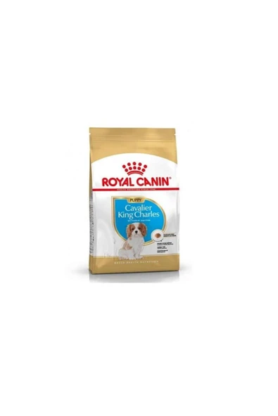 Royal Canin Cavalier King Charles Junior Yavru Köpek Maması 1,5 kg ürün görseli 1