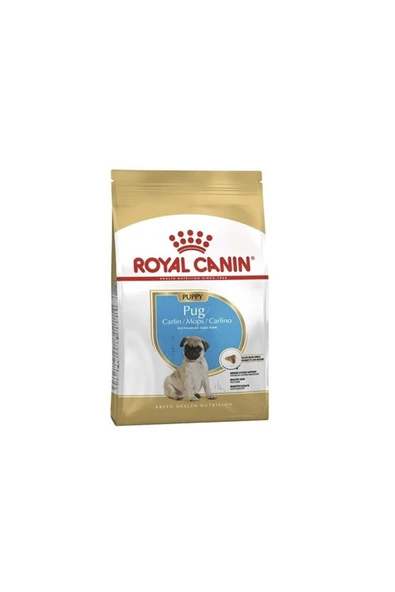 Royal Canin Pug Irkı Junior Yavru Köpek Maması 1,5 kg ürün görseli 1