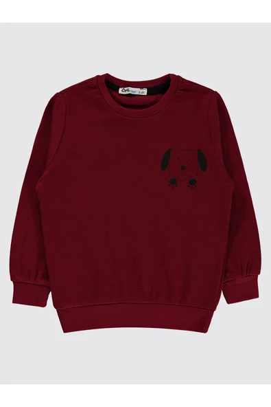 Civil Boys Erkek Çocuk Sweatshirt 2-5 Yaş Bordo ürün görseli 1