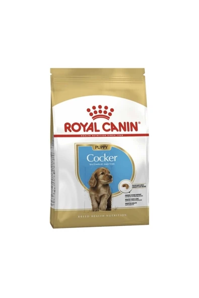 Royal Canin Cocker Junior Yavru Köpek Maması 3 kg ürün görseli 1