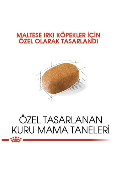Royal Canin Maltese Bichon Maltais Yetişkin Köpek Maması 1,5 kg ürün görseli 1