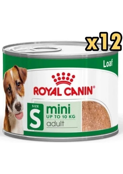 Royal Canin Loaf Mousse Küçük Irk Ezme Yetişkin Köpek Konservesi 195 gr x 12 Adet ürün görseli 1