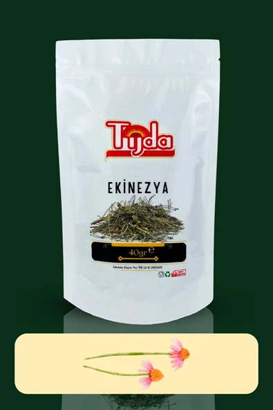 TİJDA Ekinezya 40 gr (ECHİNACEA) - Resim 3