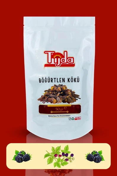 TİJDA Böğürtlen Kökü 50 gr (RUBUS CAESİUS) - Resim 3