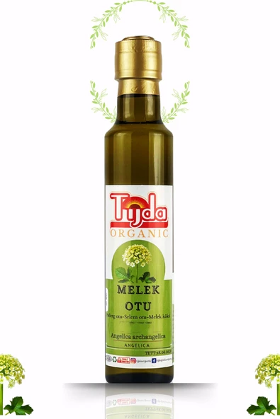 TİJDA Melek Otu 250 ml Helerg otu Angelica archangelica ürün görseli 1