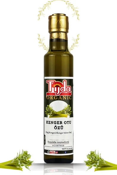 TİJDA Kenger Otu Özü 250 ml Gundelia tournefortii ürün görseli 1