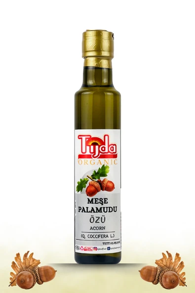 TİJDA Meşe Palamudu (Q. coccifera L.) Bitki Özü 250 ml ürün görseli 1