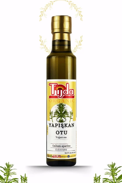 TİJDA Yapışkan Otu Özü 250 ml Yoğurt Otu Galium aparine ürün görseli 1