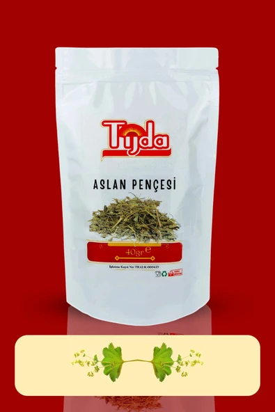 TİJDA Aslan Pençesi 40 Gr (Alchemilla) - Resim 2