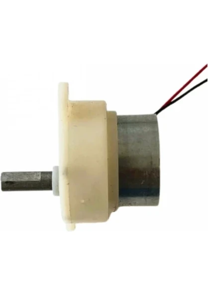 Kuluçka Makinesi Mini Viyol Çevirme Motoru 12 Volt ürün görseli 1