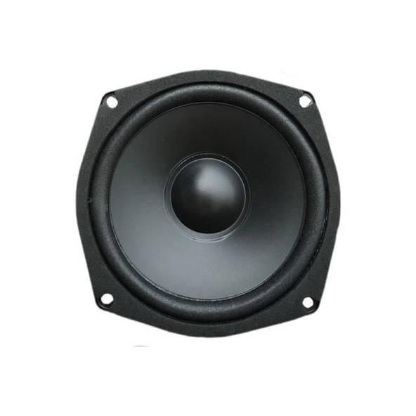 13 cm Çıplak Hoparlör 4.5" - PW-13.1 ürün görseli 1