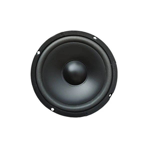 16 cm Çıplak Hoparlör 6.5" - PW-16.2 ürün görseli 1