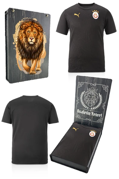 Galatasaray Orijinal Lisanslı Sıfır Yaka Siyah A Takım Antrenman T-Shirt Gs Aslan Baskılı Hediyelik Ahşap Kutulu ürün görseli 1