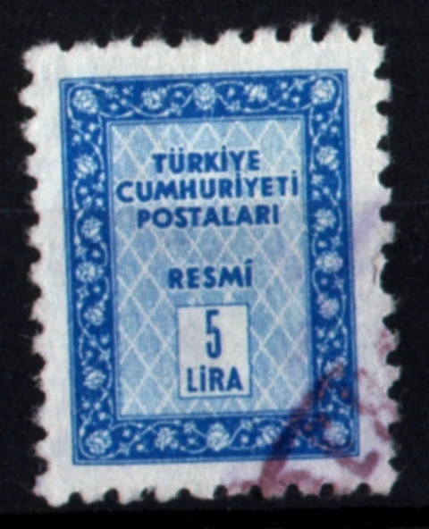 EABİ-1960 Resmi Pul 5 Lira (tp0276) ürün görseli 1