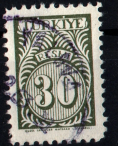 EABİ-1957 Resmi Pul 30 Kuruş (tp0281) ürün görseli 1
