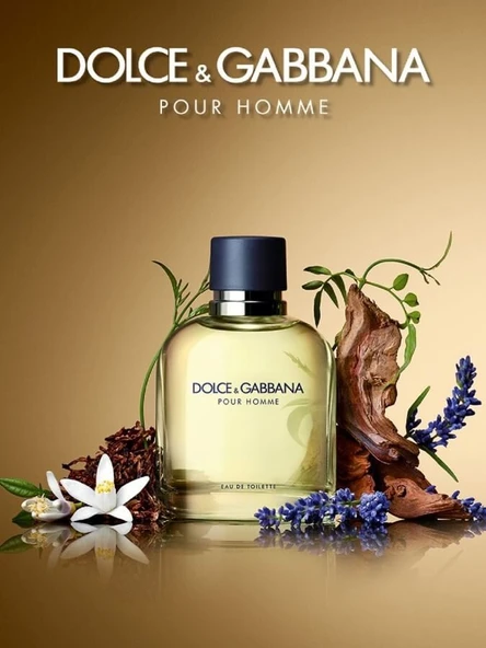 Dolce & Gabbana Dolce & Gabbana Pour Homme EDT Erkek Parfüm 75ml ürün görseli 1