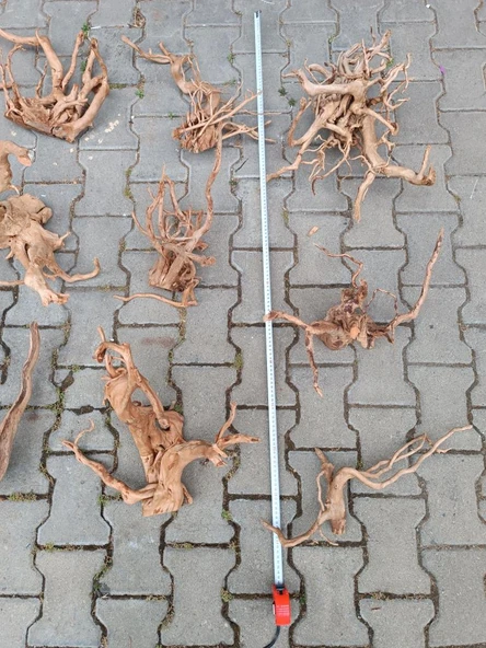Çöl Kütüğü Bağ 35-45 cm - Resim 3