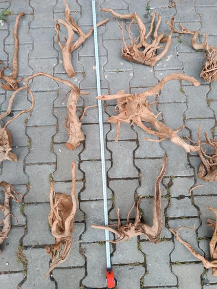 Çöl Kütüğü Bağ 35-45 cm - Resim 2