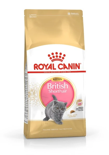 Royal Canin British Shorthair Açık Yetişkin Kedi Maması ürün görseli 1