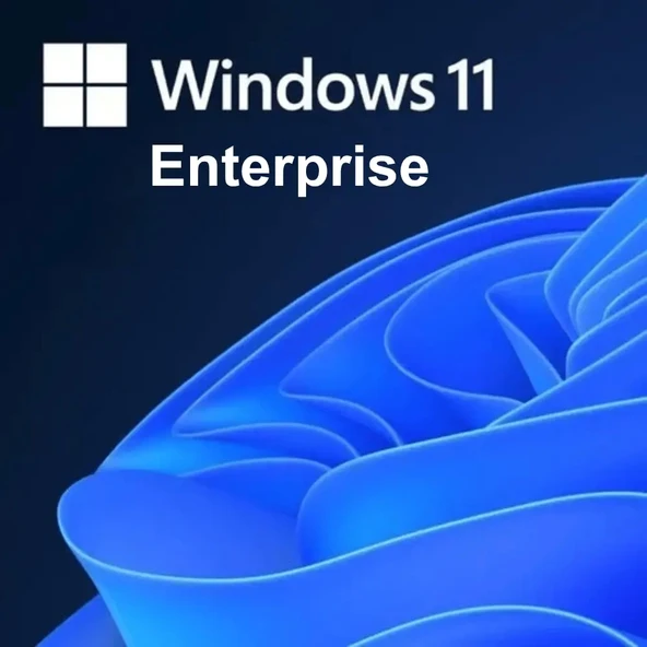 Windows 11 Enterprise Lisans Key - Resim 2