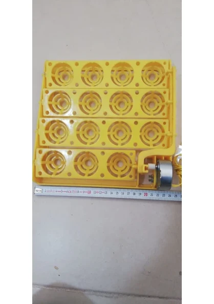 15 Gelişim Viyolu 1/240 Rpm Motor 220 V ürün görseli 1