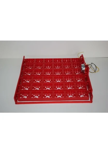 36 Lı Gelişim Viyolu 1/240 Rpm Motor 220 V ürün görseli 1