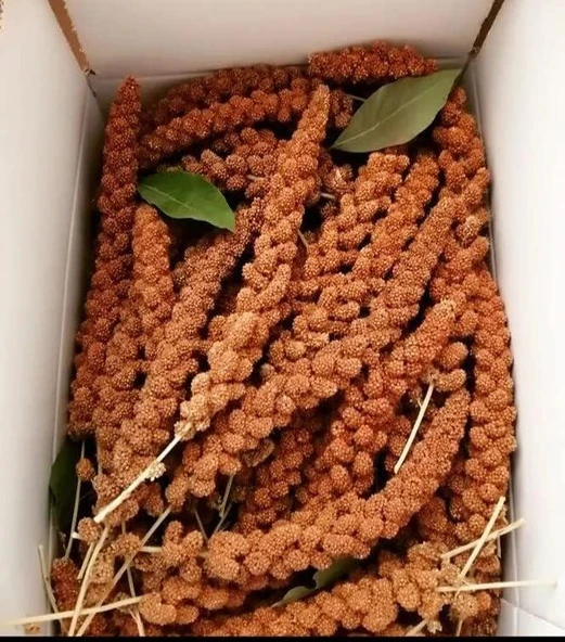 Kuşlar İçin Kızıl Dal Darı 500 GR - Resim 2