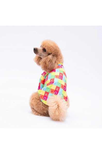 Pawstar Sarasota Kedi Köpek Gömleği - Kedi Köpek Kıyafeti ürün görseli 1