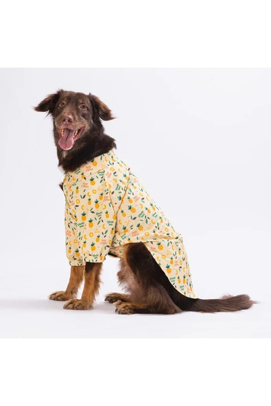 Pawstar Pineapple Büyük Köpek Gömleği - Köpek Kıyafeti (15 KG-45 KG) ürün görseli 1