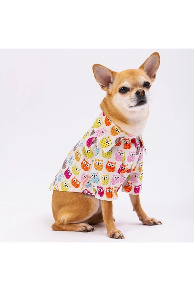 Pawstar Owls Kedi Köpek Gömleği - Kedi Köpek Kıyafeti ürün görseli 1