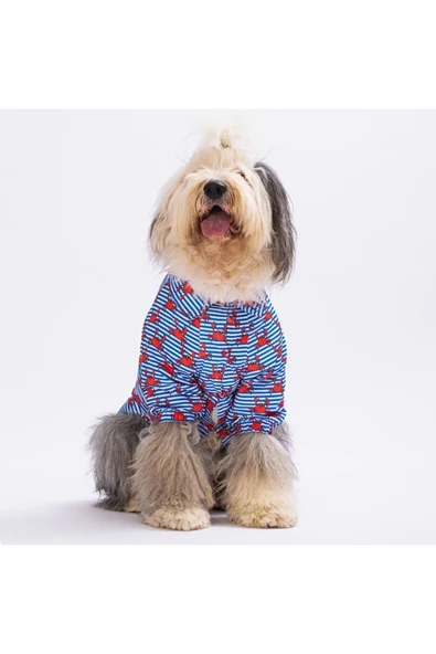 Pawstar Crabs Büyük Köpek Gömleği - Köpek Kıyafeti (15 KG-45 KG) ürün görseli 1