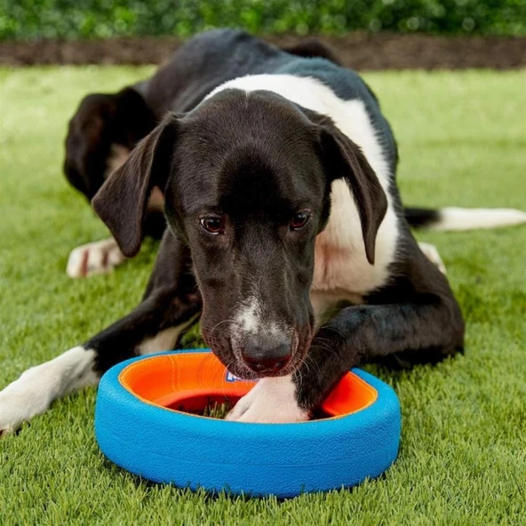 Chuckit! Fetch Wheel Oyun Halkası - Resim 2