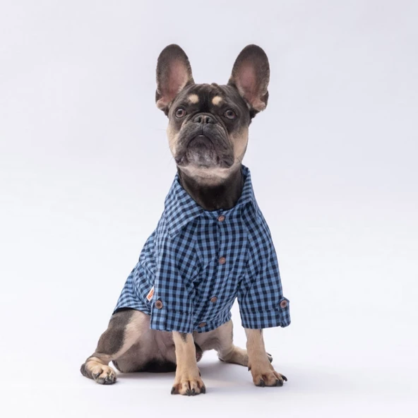 Pawstar Luss Mavi Kedi ve Küçük Irk Köpek Gömleği ürün görseli 1