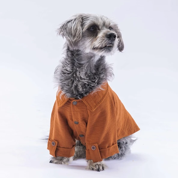 Pawstar Kahve Linen Look Kedi ve Küçük Irk Köpek Gömleği ürün görseli 1