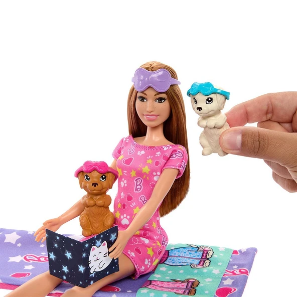 HXN01 Barbie ve Köpekçikleri Pijama Partisi ürün görseli 1