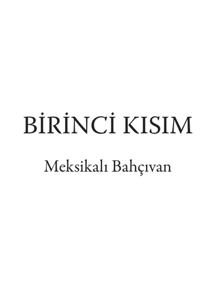 Gözlerini Sımsıkı Kapat - John Verdon - Resim 5