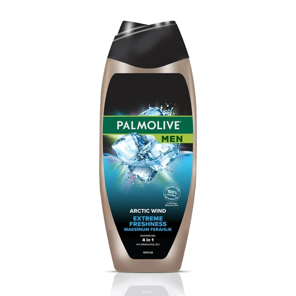 Palmolive Men Duş Jeli Artıc Wınd 3 In1 500 Ml ürün görseli 1