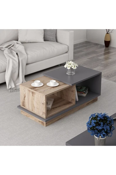 BMdekor Orta Sehpa Concept Antrasit Ceviz - Resim 3