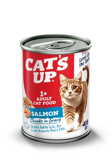 Cats Up Yaş Yetişkin Kedi Maması Somonlu 415gr ürün görseli 1