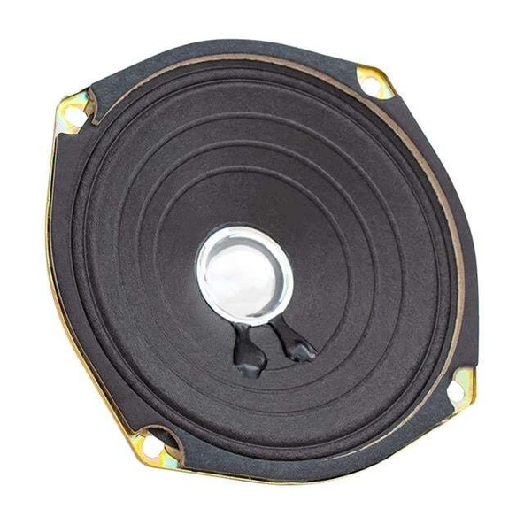 Westsound 12 Cm 8 Ohm 6W - Max 80W Yedek Hoparlör WS-5 ürün görseli 1