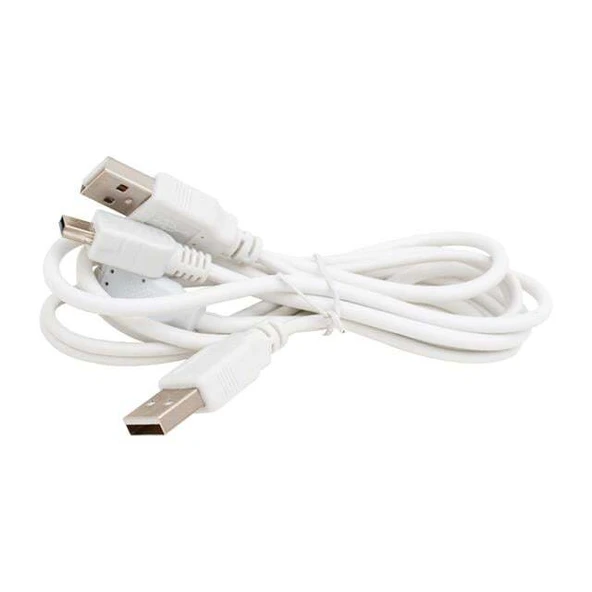 Powermaster USB 2 A Erkek-Mini USB 5 Pin 1 Metre Kablo - Resim 3