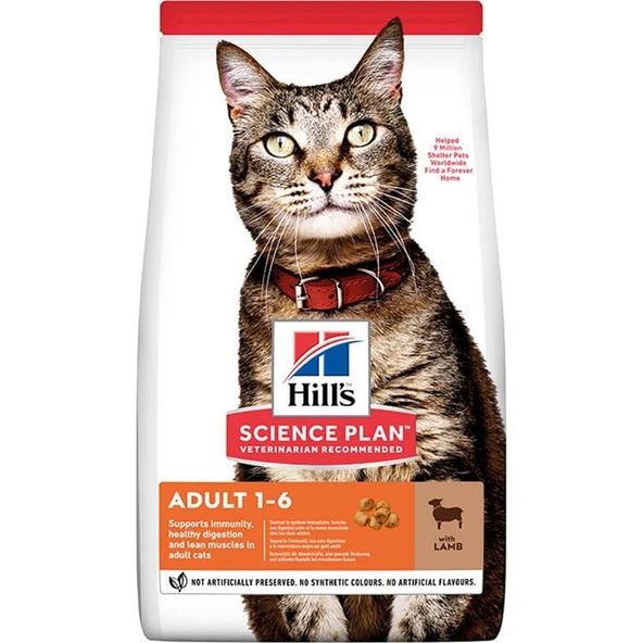 Adult Kuzu Etli Yetişkin Kedi Maması 3 kg ürün görseli 1