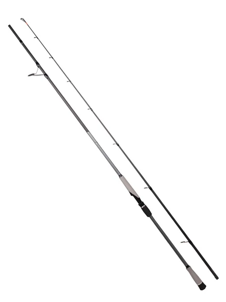 Ryuji Matrix Fuji 280cm 25-80gr 2P. Shore Jig Kamışı ürün görseli 1